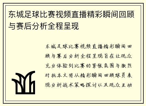 东城足球比赛视频直播精彩瞬间回顾与赛后分析全程呈现
